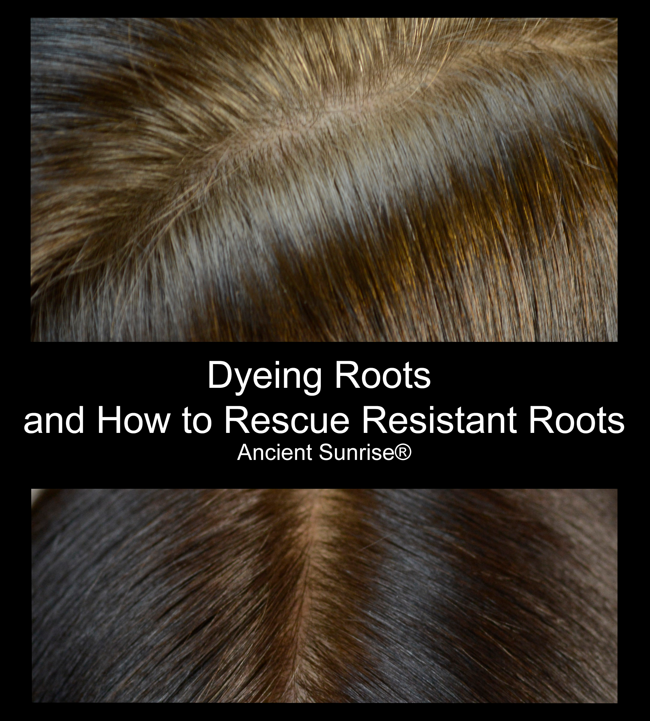 Full Coverage: Dyeing Roots and How to Rescue Resistant Roots